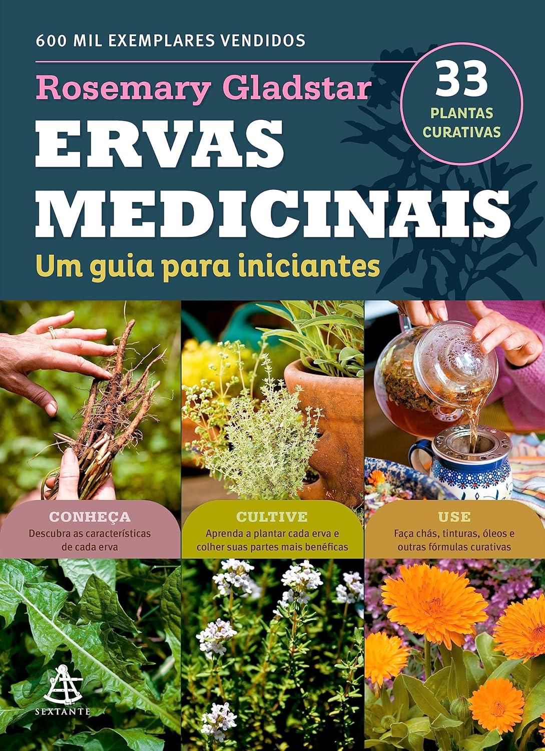Ervas Medicinais – Guia para Iniciantes