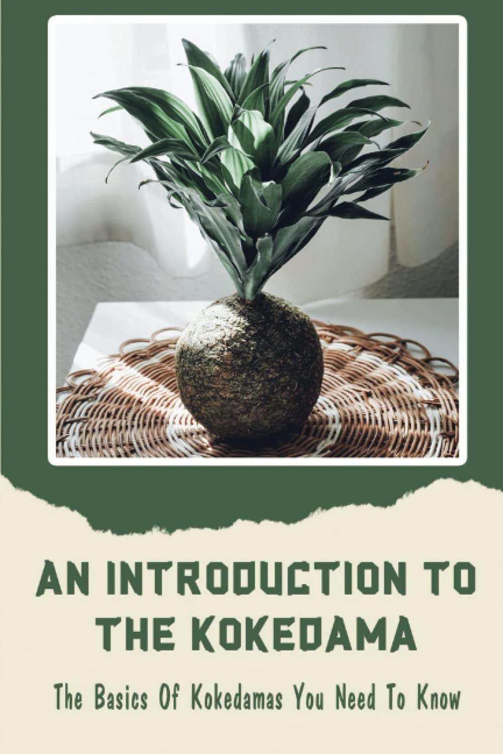 Capa do livro Introduction to Kokedama