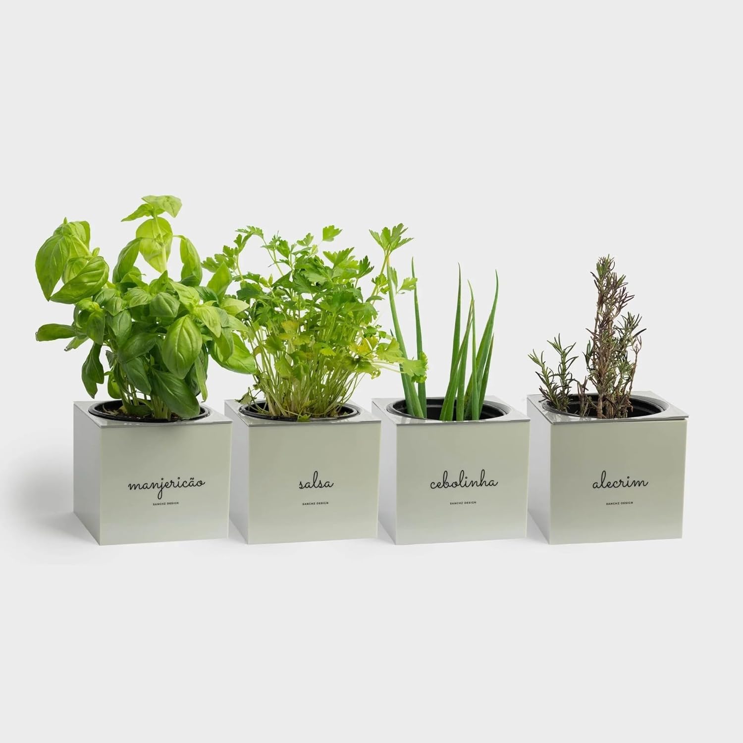 Kit Plantio Completo Minha Horta