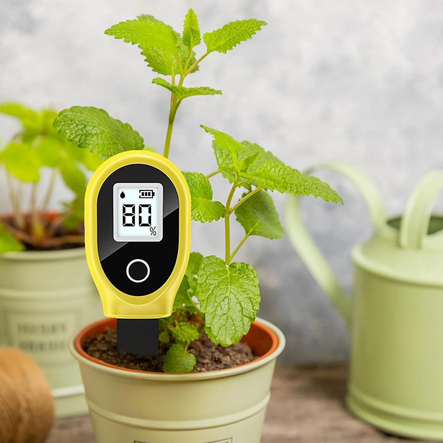 Testador de Umidade de Solo