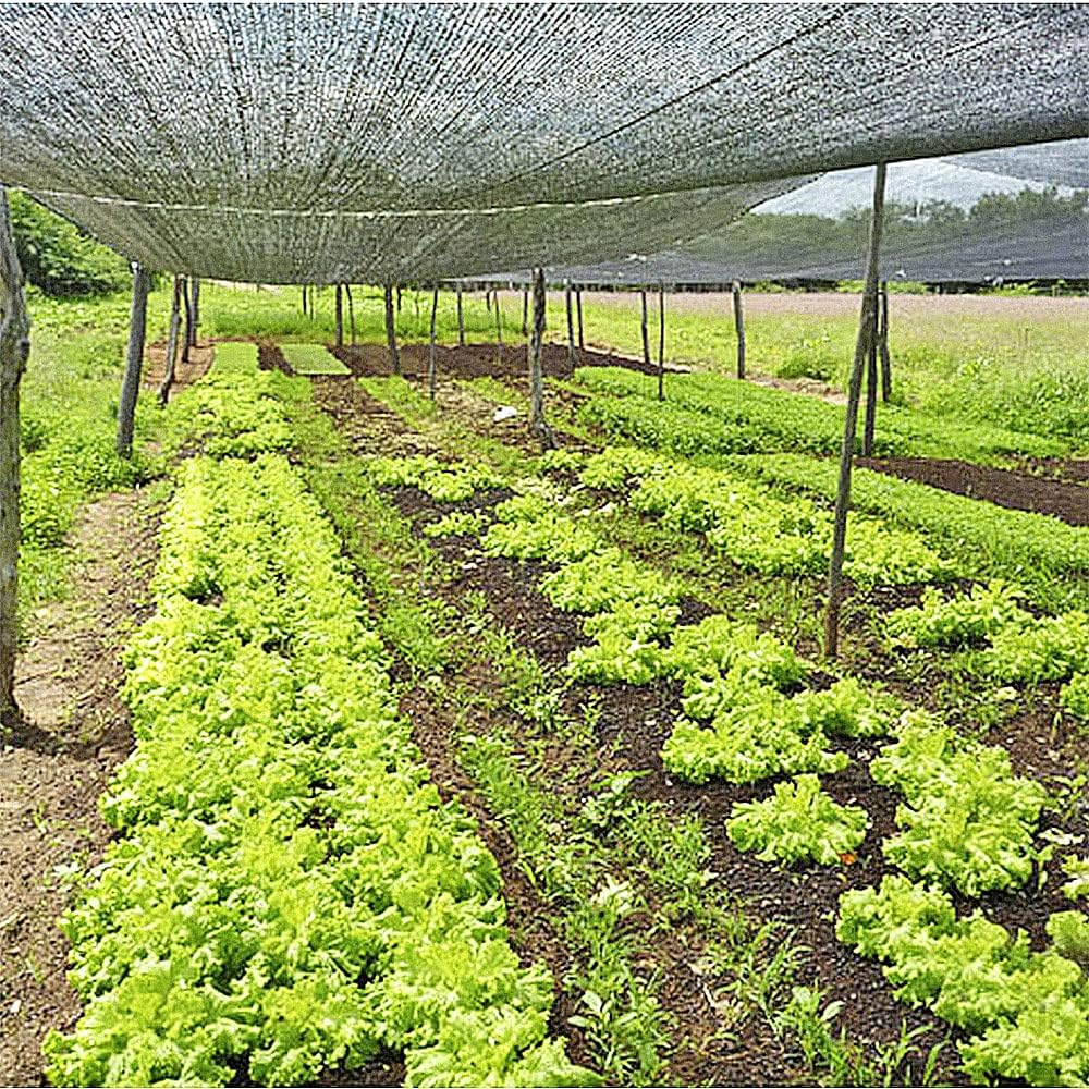 Sombrite para Horta 50% (4x10m)