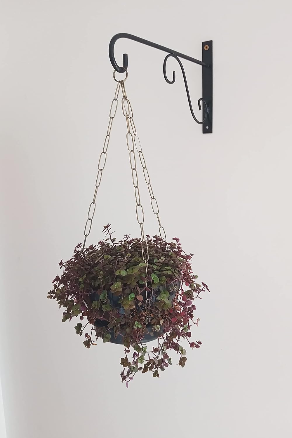 Suporte Francesa Parede Floreira Ferro