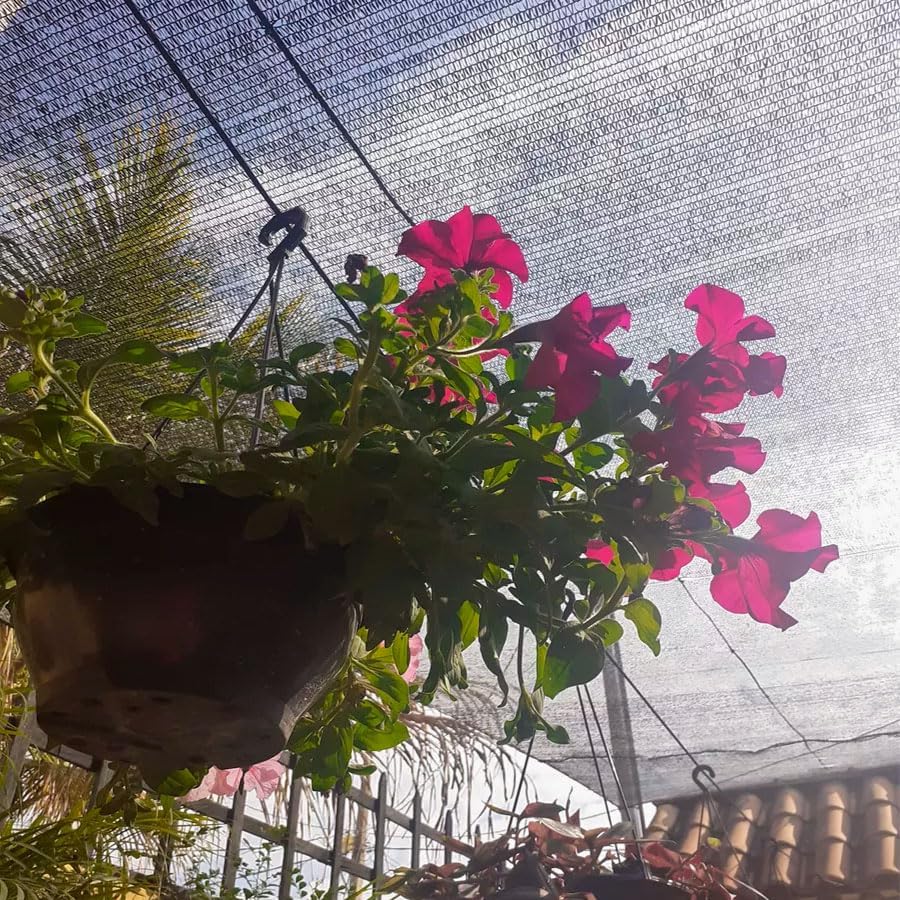 Tela de Sombreamento MOS para Orquidário