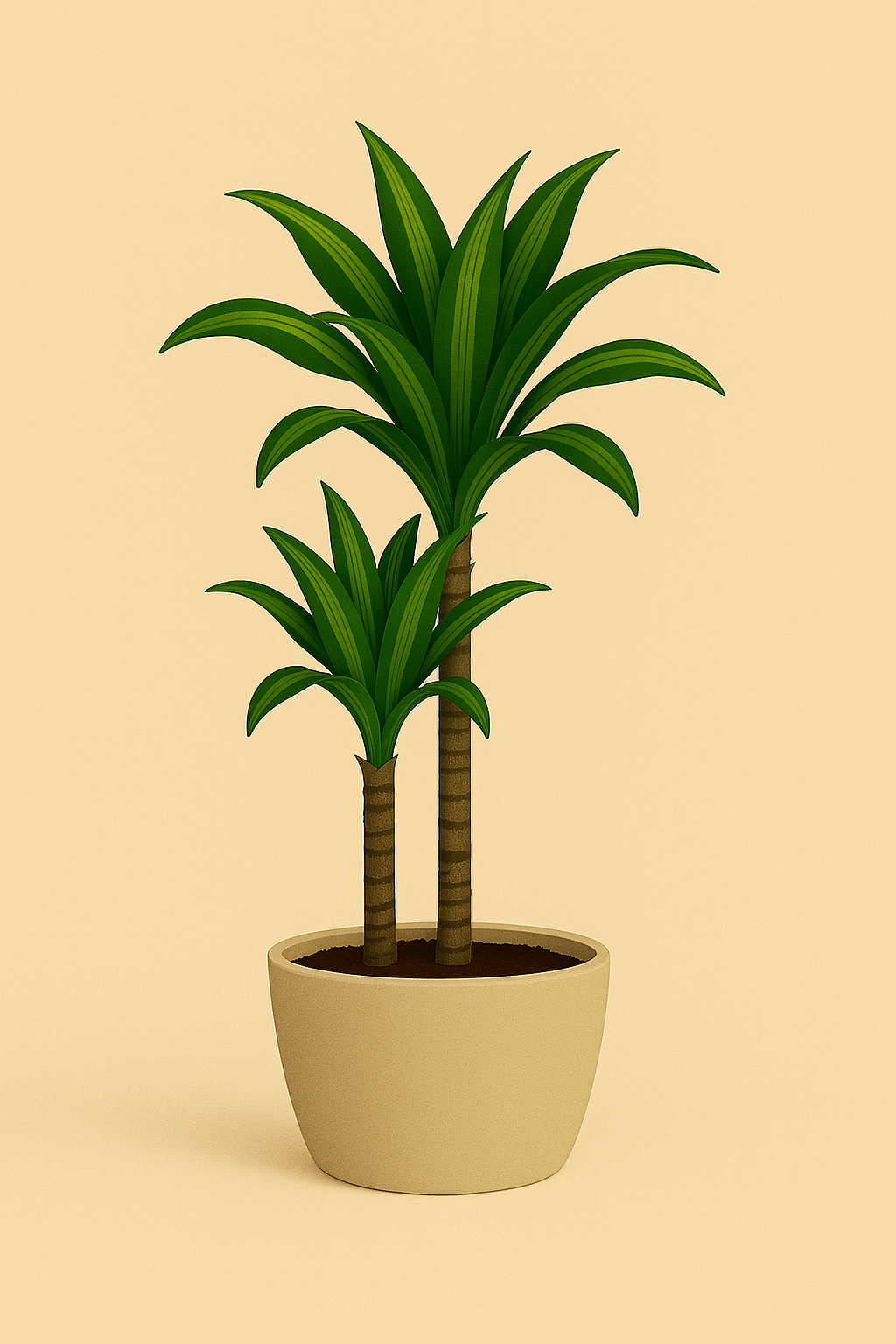 Alocasia Polly